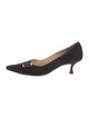 Manolo Blahnik Suede Pumps