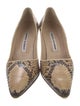 Manolo Blahnik Snakeskin Animal Print Pumps