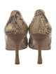 Manolo Blahnik Snakeskin Animal Print Pumps