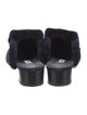 Manolo Blahnik Suede Fur Trim Mules
