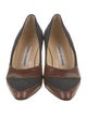 Manolo Blahnik Wool Printed Pumps