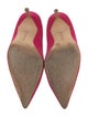 Manolo Blahnik Suede Pumps