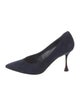 Manolo Blahnik Suede Pumps