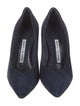 Manolo Blahnik Suede Pumps