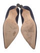 Manolo Blahnik Suede Pumps