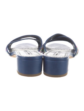 Manolo Blahnik Leather Floral Print Slides