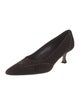 Manolo Blahnik Suede Pumps
