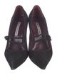 Manolo Blahnik Suede Pumps