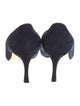 Manolo Blahnik Suede Pumps