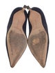 Manolo Blahnik Suede Pumps