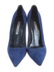 Manolo Blahnik Suede Pumps
