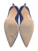 Manolo Blahnik Suede Pumps