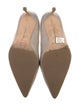 Manolo Blahnik Suede Pumps