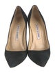 Manolo Blahnik Suede Pumps