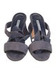 Manolo Blahnik Suede Sandals