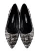 Manolo Blahnik Hangisi Printed Flats
