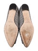 Manolo Blahnik Hangisi Printed Flats