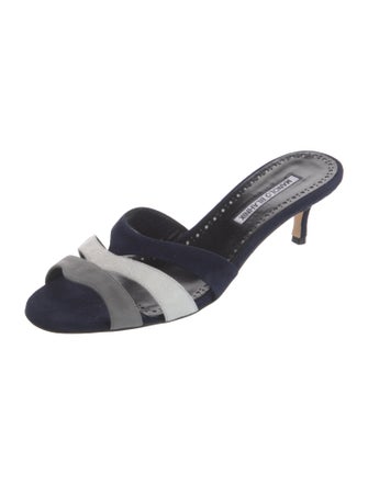 Manolo Blahnik Suede Slides