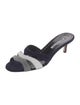 Manolo Blahnik Suede Slides