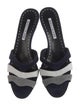 Manolo Blahnik Suede Slides
