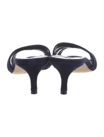 Manolo Blahnik Suede Slides