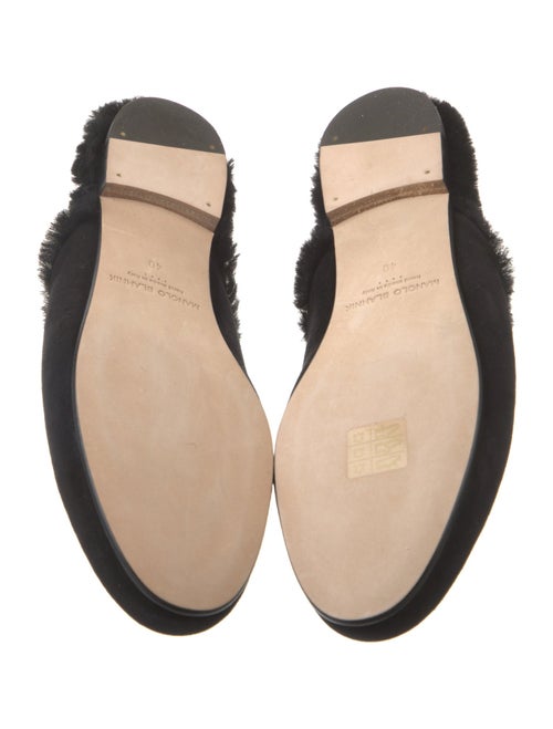 Manolo Blahnik Mariamu Suede Mules