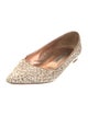 Manolo Blahnik Ponyhair Animal Print Ballet Flats