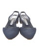 Manolo Blahnik Canvas Slingback Pumps