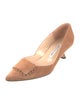 Manolo Blahnik Suede Pumps