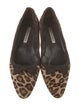 Manolo Blahnik Ponyhair Animal Print Flats