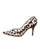 Manolo Blahnik Mesh Animal Print Pumps