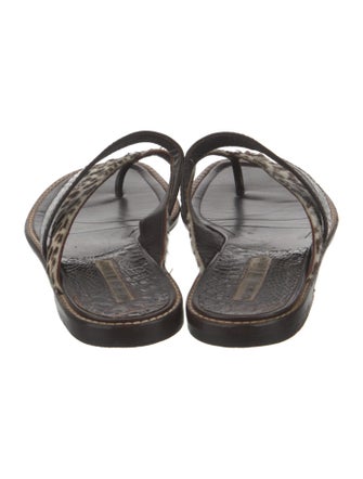 Manolo Blahnik Ponyhair Animal Print Slides
