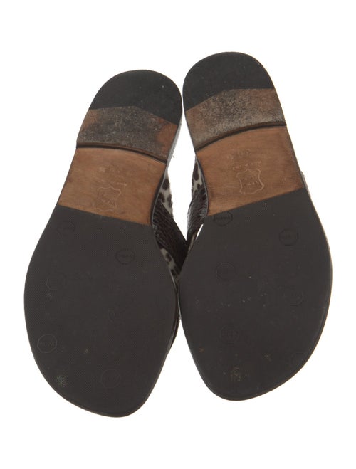 Manolo Blahnik Ponyhair Animal Print Slides