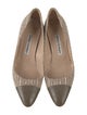 Manolo Blahnik Tweed Pattern Pumps