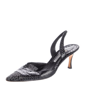 Manolo Blahnik Snakeskin Slingback Pumps