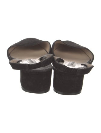 Manolo Blahnik Suede Mules