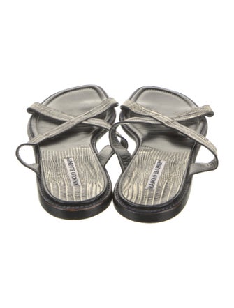 Manolo Blahnik Snakeskin Slides