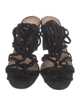 Manolo Blahnik Suede Gladiator Sandals