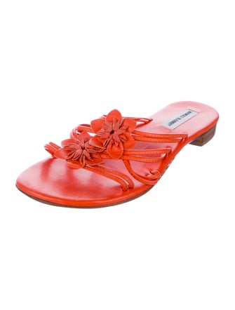 Manolo Blahnik Leather Floral Print Slides