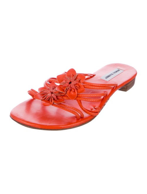 Manolo Blahnik Leather Floral Print Slides