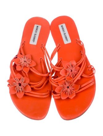 Manolo Blahnik Leather Floral Print Slides