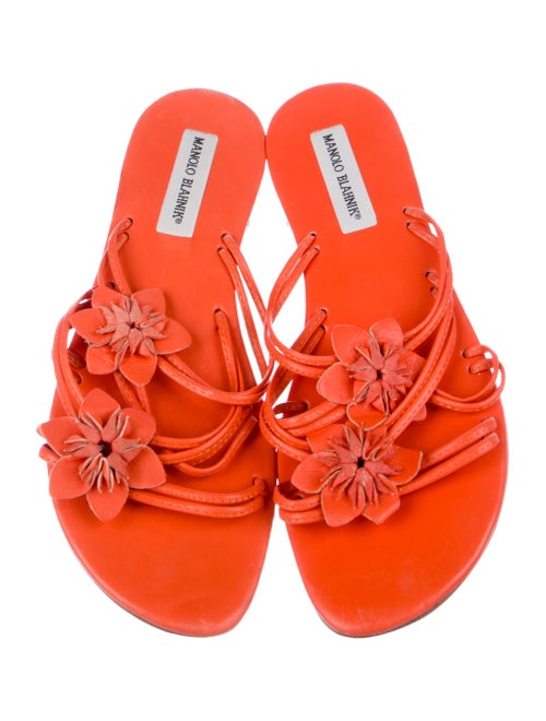 Manolo Blahnik Leather Floral Print Slides