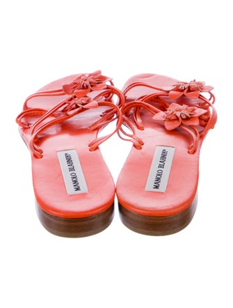 Manolo Blahnik Leather Floral Print Slides