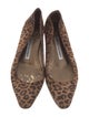 Manolo Blahnik Suede Animal Print Flats