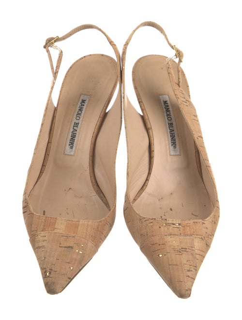 Manolo Blahnik Printed Slingback Pumps