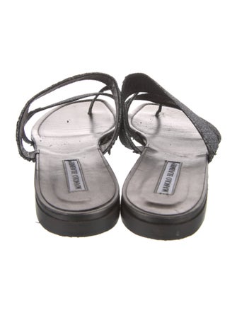 Manolo Blahnik Glitter Glitter Accents Slides