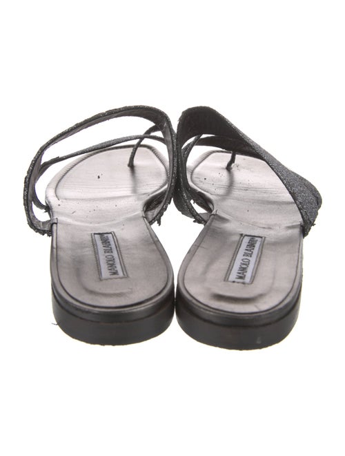 Manolo Blahnik Glitter Glitter Accents Slides