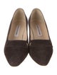 Manolo Blahnik Suede Pumps