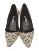 Manolo Blahnik Printed Eyelet Trim Pumps