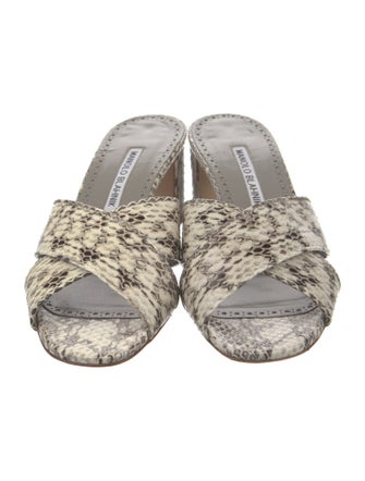 Manolo Blahnik Leather Animal Print Slides